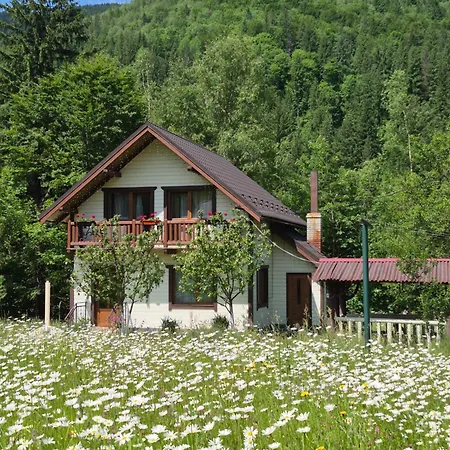 Вилла хата край села