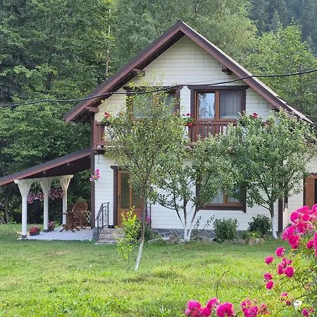 Вилла хата край села